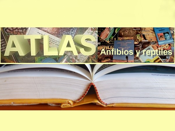 Atlas Anfibios y Reptiles