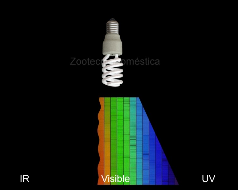 Lámpara compacta UV