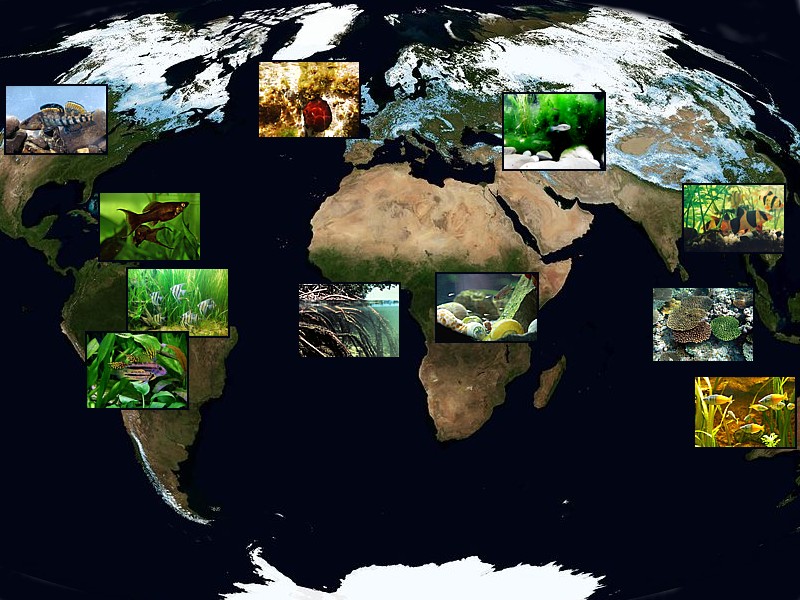 World biotopes