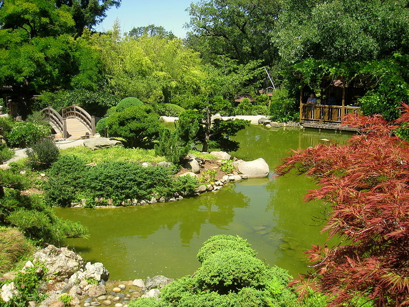 El estanque de jardín
